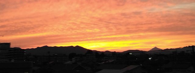 青林檎婦人🌙‎𖤐⡱さんの壁紙画像