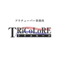 🇫🇷♟ - 事務・事業アカウントさんのアイコン画像