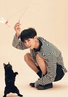 私はただ猫を拾っただけ