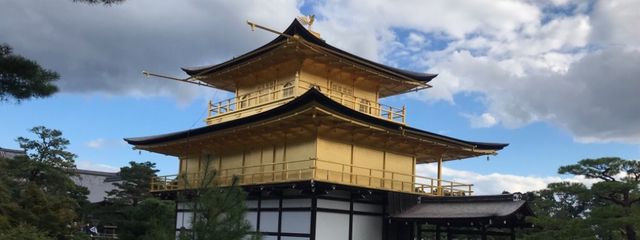 わらびモチ 無期限活動休止中さんの壁紙画像