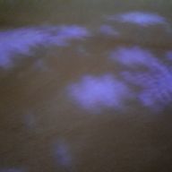 RYKAさんのアイコン画像