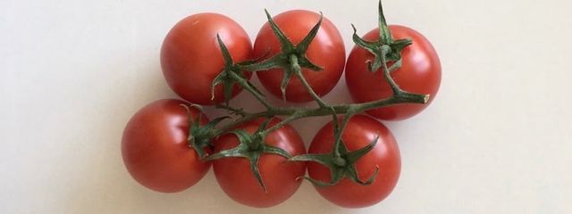 ︎ ︎ ︎とまとさんの壁紙画像