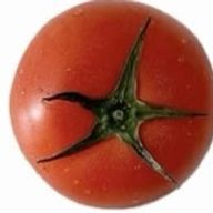 ︎ ︎ ︎とまとさんのアイコン画像