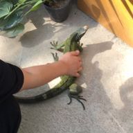 斗真さんのアイコン画像