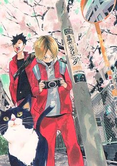 転生したら『ハイキュー‼︎』の世界だった⁉︎