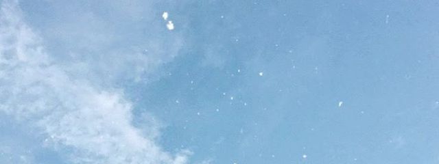 yunikoさんの壁紙画像