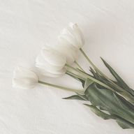 yunikoさんのアイコン画像