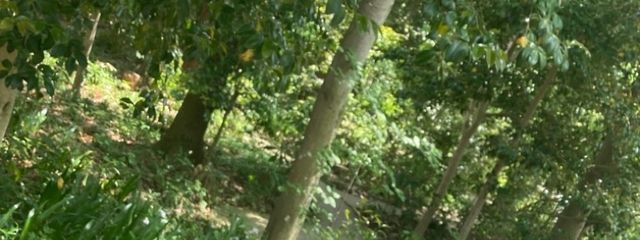 瑠偉@あたおかさんの壁紙画像