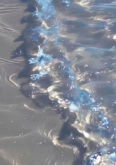 嫌われたいので悪女始めました 【 口癖四天王 + ex 】