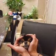 Suytxcgさんのアイコン画像