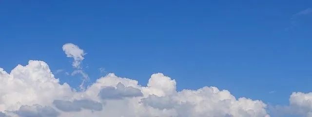 mint3 さんの壁紙画像