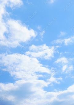 半分だけ青い空の下で。