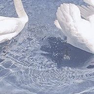 わたしさんのアイコン画像