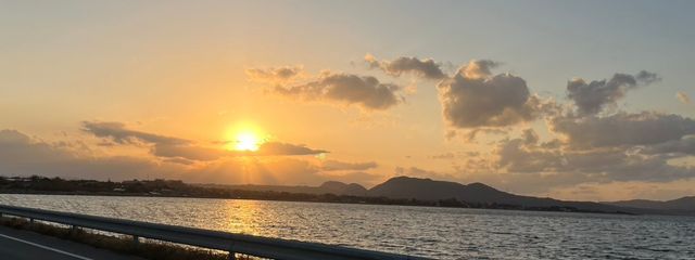 海月さんの壁紙画像