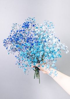 それが貴方の幸せだとしても 。