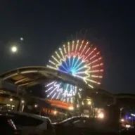 あやな🎻🍀    🐈🎈◼️さんのアイコン画像