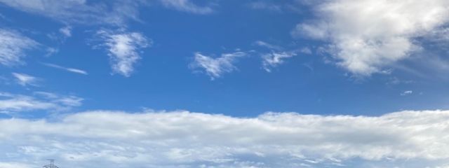 クッキーさんの壁紙画像