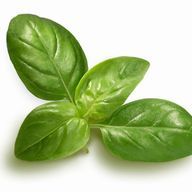 てあ🍵🫖 ✒️💣さんのアイコン画像