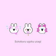 るり丸さんのアイコン画像