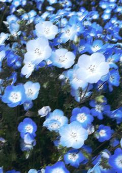 いじめって楽しい?