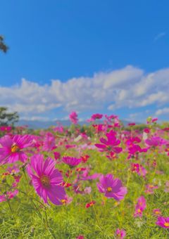 I wish I hadn't been