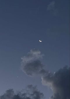 【wt】爽やか店員に絆されまして.