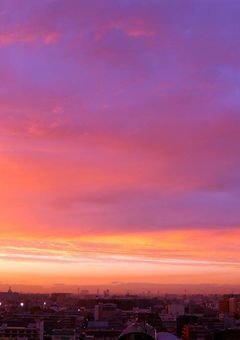 🌷🍗🌷短編集