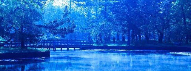 夢海ラムネさんの壁紙画像