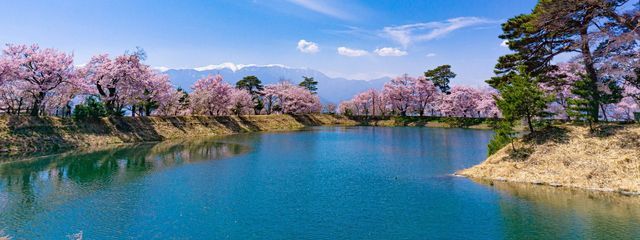 すずか(フォロバ100%)さんの壁紙画像