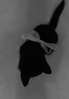 友達以上恋人未満