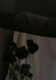 　悪 魔 の 世 界　,