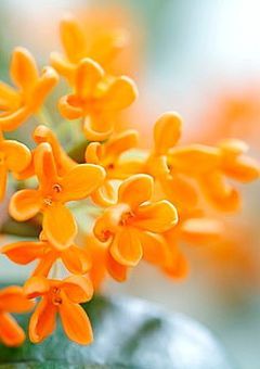 hbc　【HAPPYENDでもう一度】