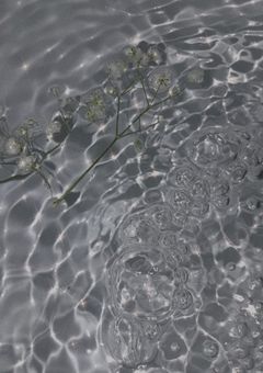 防弾短編集