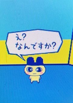❦ 御友達ぼしゅー 🌝