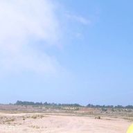 Moonさんのアイコン画像