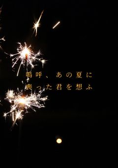 嗚呼、夏の夜に喪った君を想ふ。 【最遊記】
