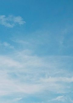 散歩してたら悪魔の実見つけたんだが。