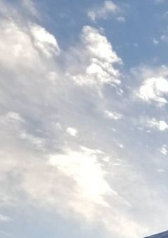 転生天使、無双中。