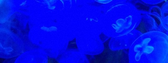 小雨さんの壁紙画像