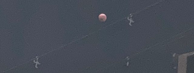 なつ🌙🫧_💧🌿🍁さんの壁紙画像