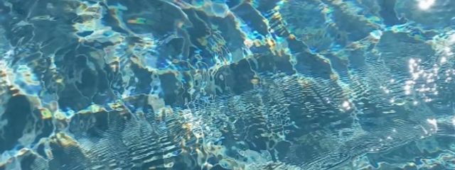 金 本 .さんの壁紙画像
