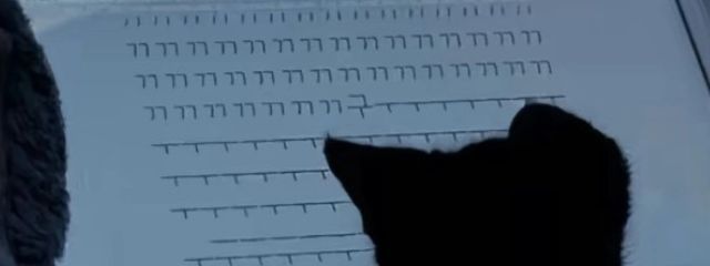 Ygn.さんの壁紙画像