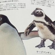 りさんのアイコン画像