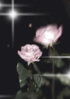 　夜 の 魔 物    ＿＿＿＿＿＿＿＿＿＿