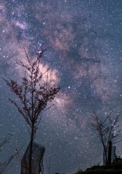 夜から逃げる君を追う