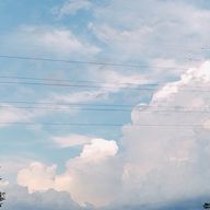 𝐌𝐀𝐘𝐔︎さんのアイコン画像