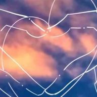 LANさんのアイコン画像