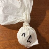 おせちもさんのアイコン画像