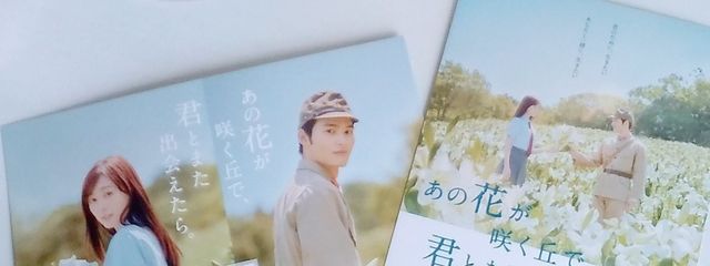 Shie🖤　#時々ひょっこりはんさんの壁紙画像