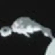 シアン(萌葱)さんのアイコン画像